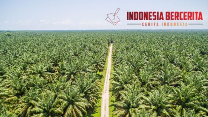 Cuaca Ekstrem Labuan Bajo Memicu Larangan Berlayar Total Demi Keselamatan Laut